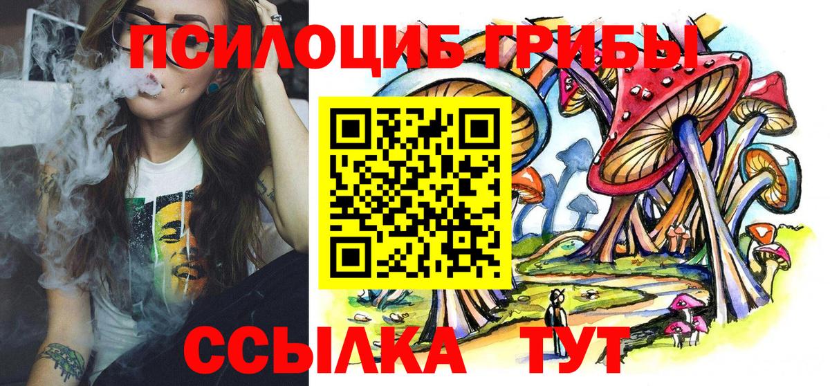 Кимовск  Галлюциногенные грибы мухоморы  Вход с VPN 