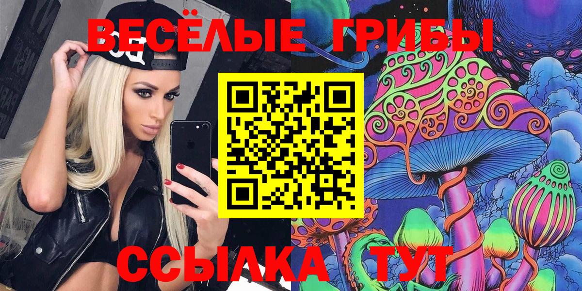 Псилоцибиновые грибы прущие грибы Кимовск